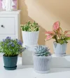 Large plastic disposable flowerpots for succulents, decorative vases for potted plants, pet and garden flowerpots, containers, durable, environmentally friendly and beautiful details Picture